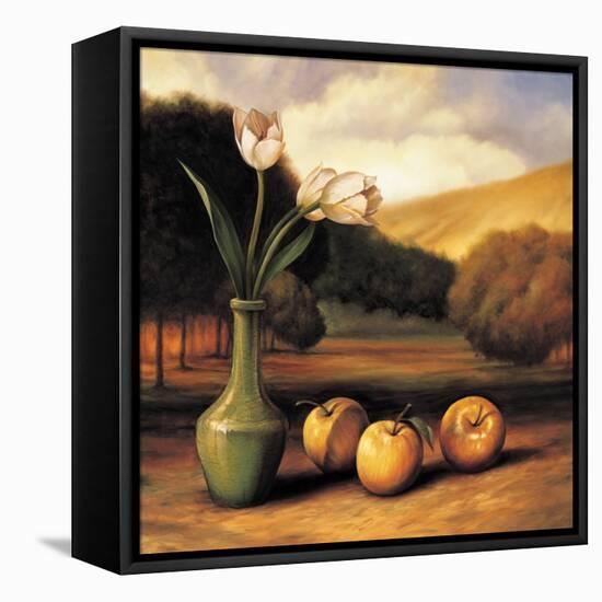 Apple Landscape-Migdalia Arellano-Framed Stretched Canvas