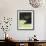 Apple Martini-Mark Pulliam-Framed Giclee Print displayed on a wall