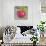 Apple On Branch-null-Stretched Canvas displayed on a wall