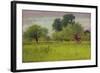 Apple Orchard, 1892-George Snr. Inness-Framed Giclee Print