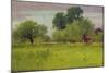 Apple Orchard, 1892-George Snr. Inness-Mounted Giclee Print