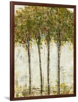 Apple Orchard II-Tim OToole-Framed Art Print