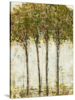 Apple Orchard II-Tim OToole-Stretched Canvas