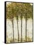 Apple Orchard II-Tim OToole-Framed Stretched Canvas