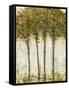 Apple Orchard II-Tim OToole-Framed Stretched Canvas
