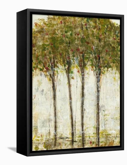 Apple Orchard II-Tim OToole-Framed Stretched Canvas