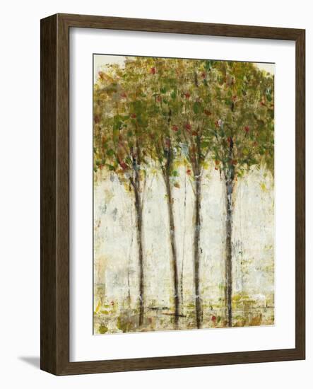 Apple Orchard II-Tim OToole-Framed Art Print