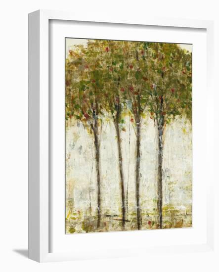 Apple Orchard II-Tim OToole-Framed Art Print