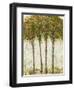 Apple Orchard II-Tim OToole-Framed Art Print