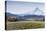 Apple Orchard in Blood with Mount Hood in the Background, Oregon, USA-Chuck Haney-Stretched Canvas