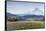 Apple Orchard in Blood with Mount Hood in the Background, Oregon, USA-Chuck Haney-Framed Stretched Canvas