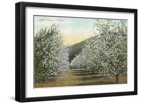 Apple Orchard in Bloom-null-Framed Art Print