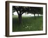 Apple Orchard Near Rennes, France-Walter Sanders-Framed Photographic Print