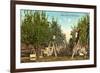 Apple Orchard, Washington-null-Framed Premium Giclee Print