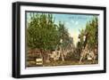 Black Frame