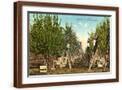 Brown Frame