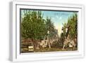 White Frame