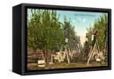 Canvas Black