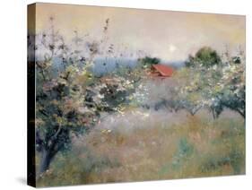Apple Orchard-Esther Engelman-Stretched Canvas