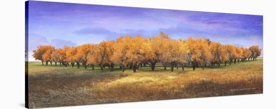 Apple Orchard-Chris Vest-Stretched Canvas