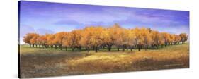 Apple Orchard-Chris Vest-Stretched Canvas