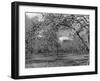 Apple Orchard-Bill Meadows-Framed Photographic Print