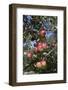 Apple Orchard-Lynn M^ Stone-Framed Photographic Print