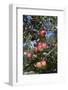 Apple Orchard-Lynn M^ Stone-Framed Photographic Print