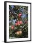 Apple Orchard-Lynn M^ Stone-Framed Photographic Print