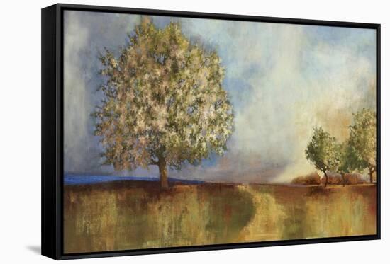 Apple Orchard-Andrew Michaels-Framed Stretched Canvas