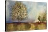Apple Orchard-Andrew Michaels-Stretched Canvas