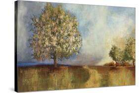 Apple Orchard-Andrew Michaels-Stretched Canvas