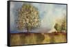 Apple Orchard-Andrew Michaels-Framed Stretched Canvas