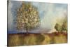 Apple Orchard-Andrew Michaels-Stretched Canvas