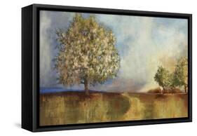 Apple Orchard-Andrew Michaels-Framed Stretched Canvas