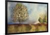 Apple Orchard-Andrew Michaels-Framed Art Print