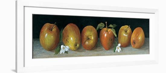 Apple Panel-Unknown Galley-Framed Premium Giclee Print