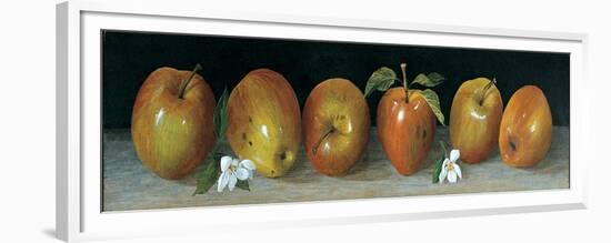 Apple Panel-Unknown Galley-Framed Premium Giclee Print