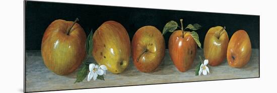 Apple Panel-Unknown Galley-Mounted Premium Giclee Print