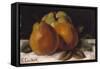 Apple, Pear and Orange, C.1871-72-Gustave Courbet-Framed Stretched Canvas