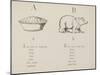 Apple-pie and Bear Illustrations and Verse From Nonsense Alphabets by Edward Lear.-Edward Lear-Mounted Giclee Print