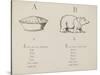 Apple-pie and Bear Illustrations and Verse From Nonsense Alphabets by Edward Lear.-Edward Lear-Stretched Canvas