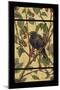 Apple Raven-Michele Meissner-Mounted Giclee Print