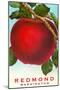 Apple, Redmond, Washington-null-Mounted Art Print