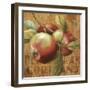 Apple Season I-Lisa Audit-Framed Giclee Print