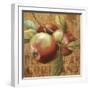 Apple Season I-Lisa Audit-Framed Giclee Print
