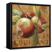 Apple Season I-Lisa Audit-Framed Stretched Canvas