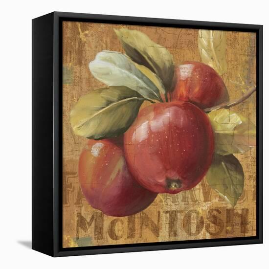 Apple Season II-Lisa Audit-Framed Stretched Canvas