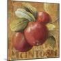 Apple Season II-Lisa Audit-Mounted Giclee Print