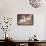 Apple Season-Tatyana Tomsickova-Framed Stretched Canvas displayed on a wall